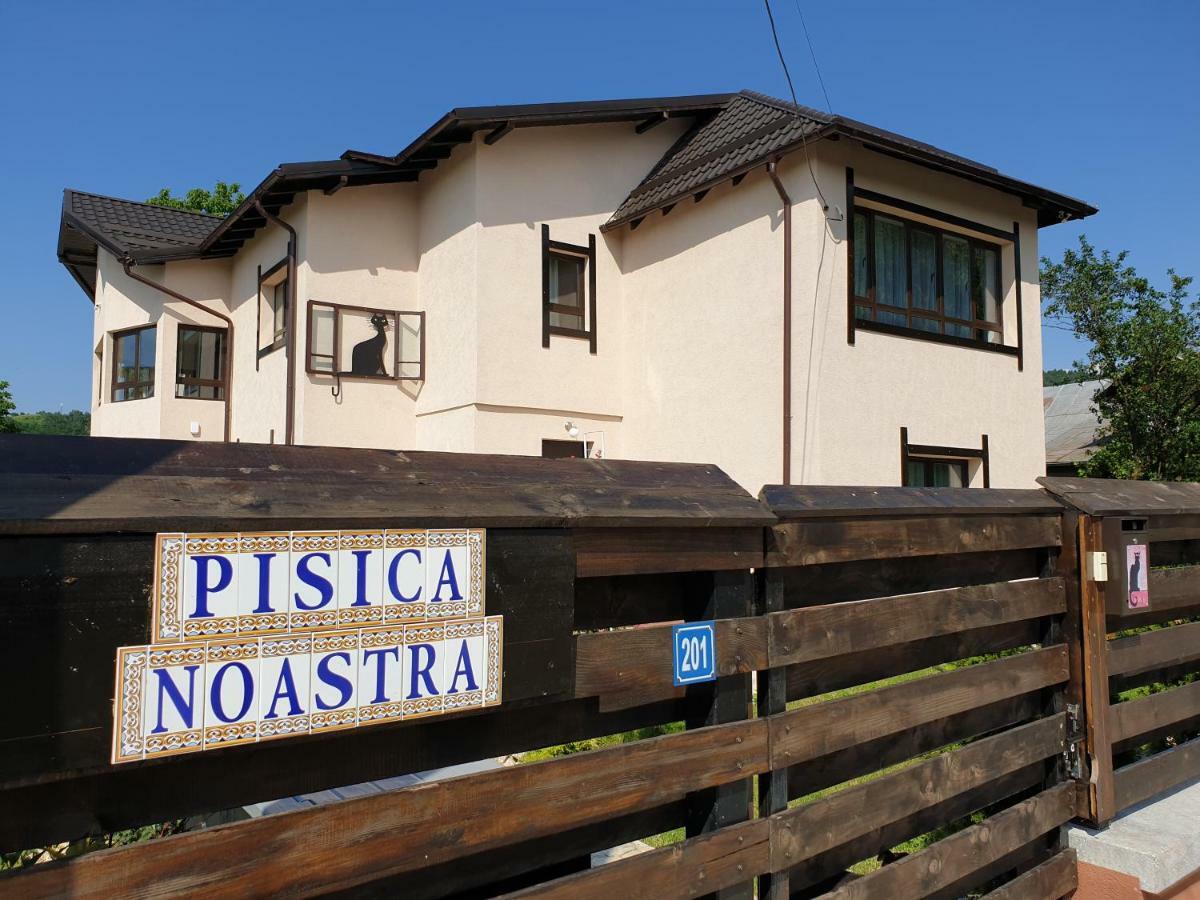 Casa Pisica Noastra Breaza (Prahova) Exterior foto